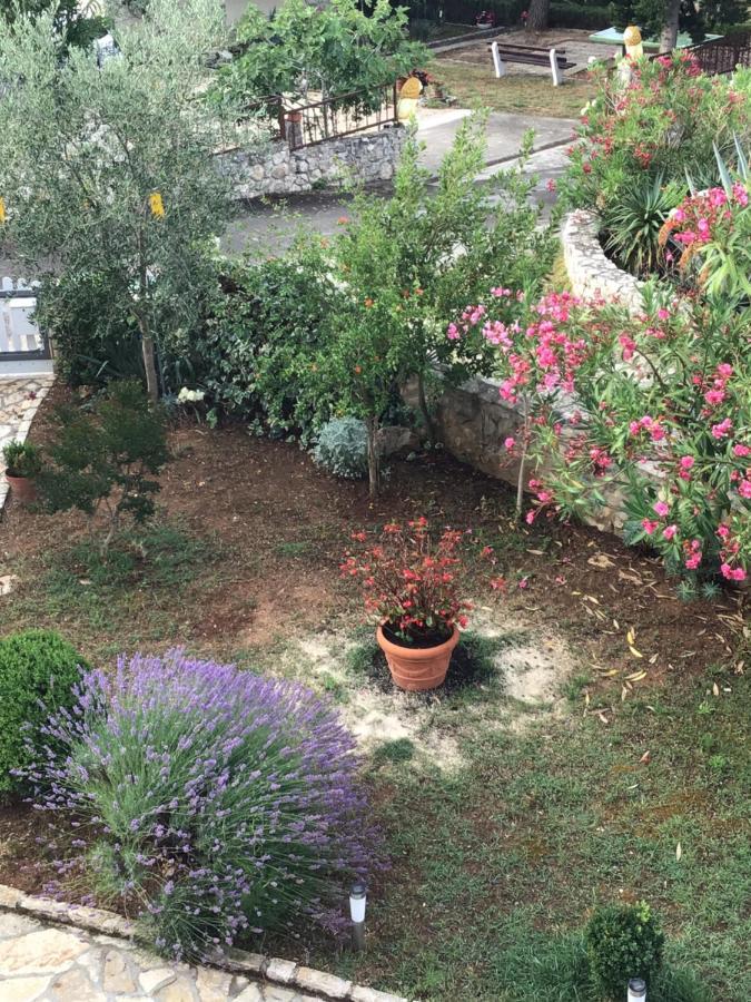 Apartmani Misic Ždrelac Εξωτερικό φωτογραφία