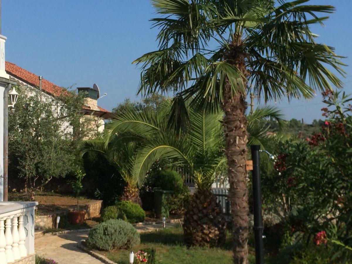 Apartmani Misic Ždrelac Εξωτερικό φωτογραφία